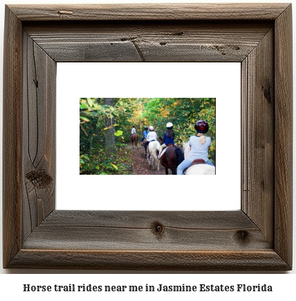 horse trail rides near me in Jasmine Estates, Florida